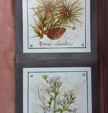 Oltre Il Giardino Pedara
